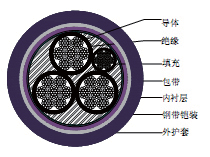 ZR-YJV22、ZR-VV22电力电缆厂家