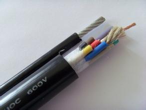 RVV1G，RVV2G自承式钢索电缆（电动葫芦电缆）