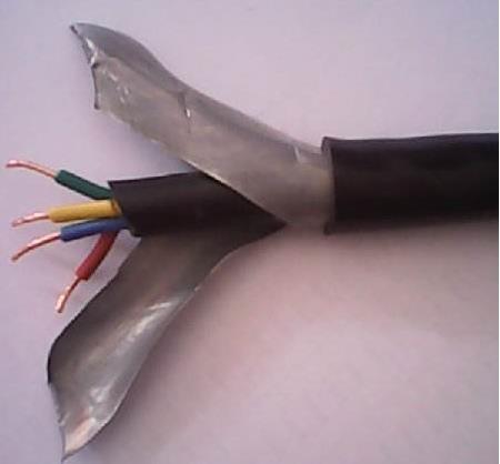 阻燃铠装本质安全电路计算机电缆
